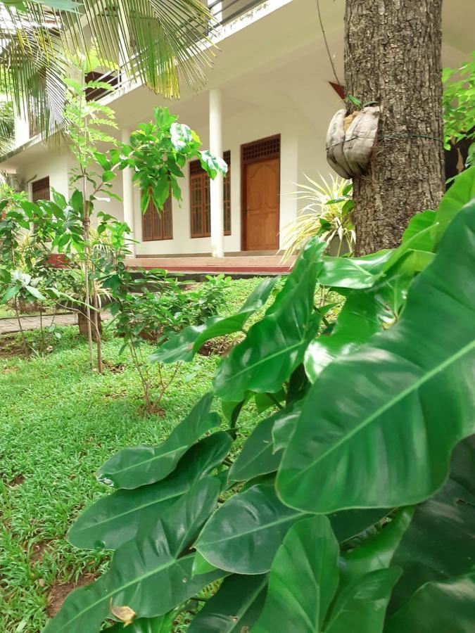 Yonara Green Rest Habarana Εξωτερικό φωτογραφία